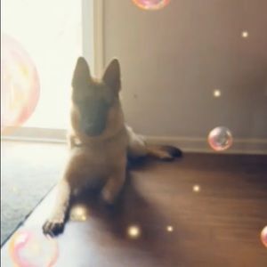 Meet your Posher, Carol